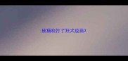 被猫咬打了狂犬疫苗