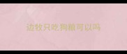 边牧只吃狗粮可以吗