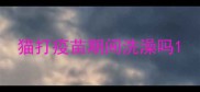 猫打疫苗期间洗澡吗