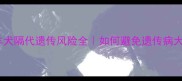 边境牧羊犬隔代遗传风险全如何避免遗传病大礼包