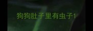 狗狗肚子里有虫子
