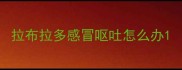 拉布拉多感冒呕吐怎么办