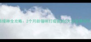 幼猫疫苗接种全攻略2个月龄猫咪打疫苗的5大注意事项与时间表