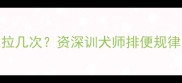 哈士奇一天拉几次资深训犬师排便规律与饲养指南