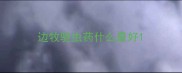边牧驱虫药什么最好