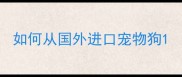 如何从国外进口宠物狗