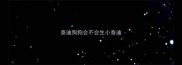 泰迪狗狗会不会生小泰迪