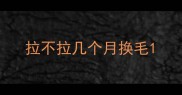 拉不拉几个月换毛