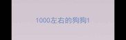 1000左右的狗狗