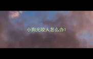 小狗光咬人怎么办