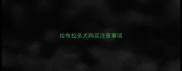 拉布拉多犬购买注意事项