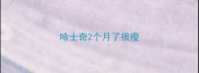 哈士奇2个月了很瘦