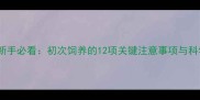 边境牧羊犬新手必看初次饲养的12项关键注意事项与科学养护指南