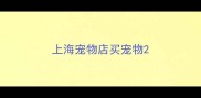 上海宠物店买宠物
