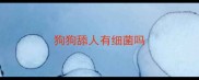 狗狗舔人有细菌吗