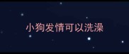 小狗发情可以洗澡