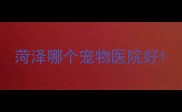 菏泽哪个宠物医院好