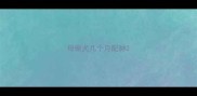 母柴犬几个月配种