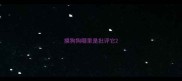 摸狗狗哪里是批评它