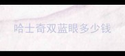 哈士奇双蓝眼多少钱