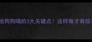 板蓝根泡水给狗狗喝的3大关键点这样做才有效不伤身