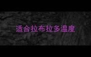 适合拉布拉多温度