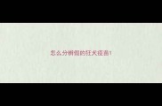 怎么分辨假的狂犬疫苗