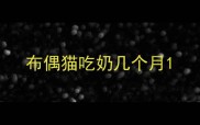 布偶猫吃奶几个月