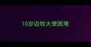 10岁边牧大便困难