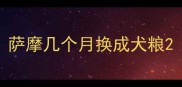 萨摩几个月换成犬粮