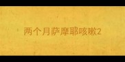 两个月萨摩耶咳嗽
