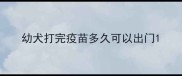 幼犬打完疫苗多久可以出门
