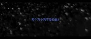 两个月小狗不爱拉屎