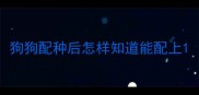狗狗配种后怎样知道能配上