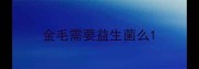 金毛需要益生菌么