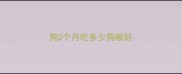 狗2个月吃多少狗粮好