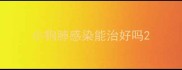 小狗肺感染能治好吗