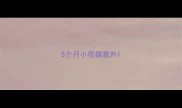 5个月小母猫意外