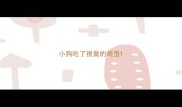 小狗吃了很臭的鸡蛋