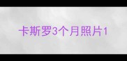 卡斯罗3个月照片