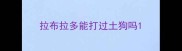 拉布拉多能打过土狗吗