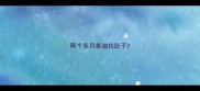 两个多月泰迪拉肚子
