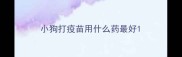 小狗打疫苗用什么药最好