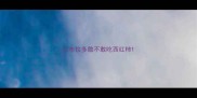 拉布拉多敢不敢吃西红柿