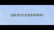 注射3针狂犬疫苗有用吗