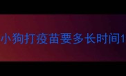 小狗打疫苗要多长时间