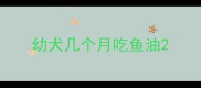 幼犬几个月吃鱼油