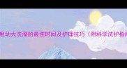 巴吉度幼犬洗澡的最佳时间及护理技巧附科学洗护指南