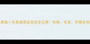 黑泰迪灰泰迪混血宝宝全记录性格毛发护理全攻略