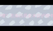 猫咪绝育后如何护理云南白药在术后护理中的科学应用指南